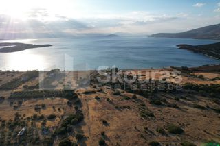 Αγροτεμάχια 5.355,70 τ.μ. για πώληση, Αργολίδα, Κρανίδι-thumb-22