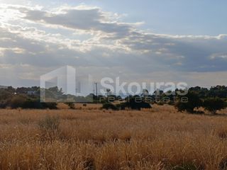 Αγροτεμάχια 5.355,70 τ.μ. για πώληση, Αργολίδα, Κρανίδι-thumb-24