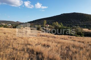 Αγροτεμάχια 5.355,70 τ.μ. για πώληση, Αργολίδα, Κρανίδι-thumb-13