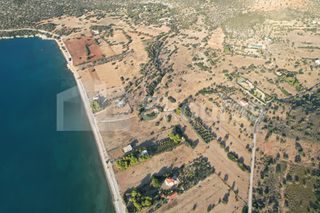 Αγροτεμάχια 5.355,70 τ.μ. για πώληση, Αργολίδα, Κρανίδι-thumb-7