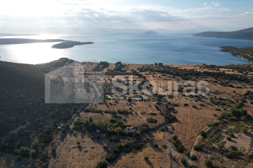 Αγροτεμάχια 5.355,70 τ.μ. προς πώληση, Κρανίδι