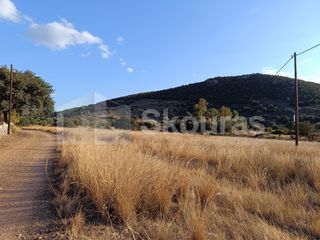 Αγροτεμάχια 5.355,70 τ.μ. για πώληση, Αργολίδα, Κρανίδι-thumb-23