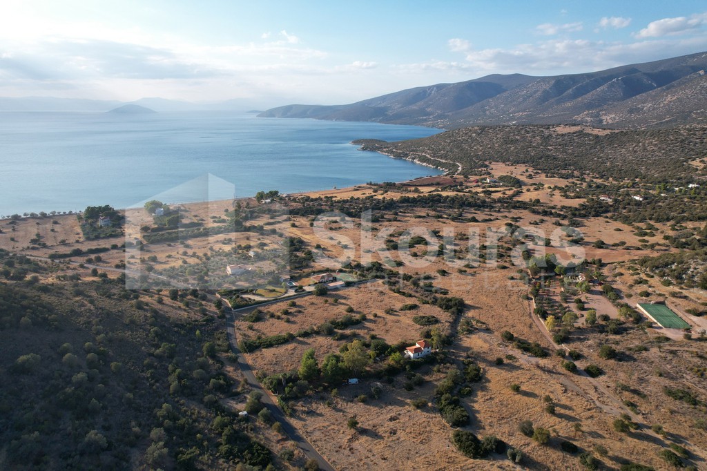 Αγροτεμάχια 5.355,70 τ.μ. προς πώληση, Κρανίδι