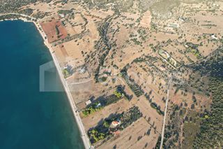 Αγροτεμάχια 5.355,70 τ.μ. για πώληση, Αργολίδα, Κρανίδι-thumb-8