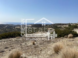 Αγροτεμάχια 35.000 τ.μ. για ενοικίαση, Ν. Λασιθίου, Ιεράπετρα-thumb-9