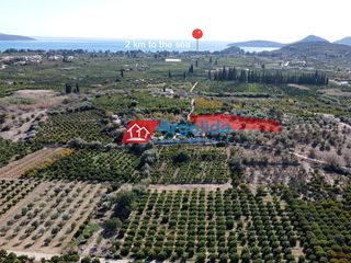 Αγροτεμάχια 2.745 τ.μ. για πώληση