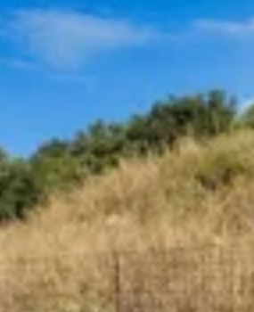 Land plot 12.600sqm for sale-Kalivia Thorikou » Lagonisi
