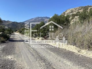 Αγροτεμάχια 10.000 τ.μ. προς πώληση, Μύρτος Ιεράπετρας-thumb-5