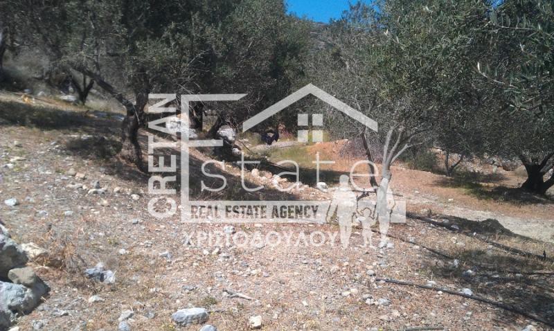 Αγροτεμάχια 8.000 τ.μ. πρός πώληση, Ν. Λασιθίου, Ιεράπετρα