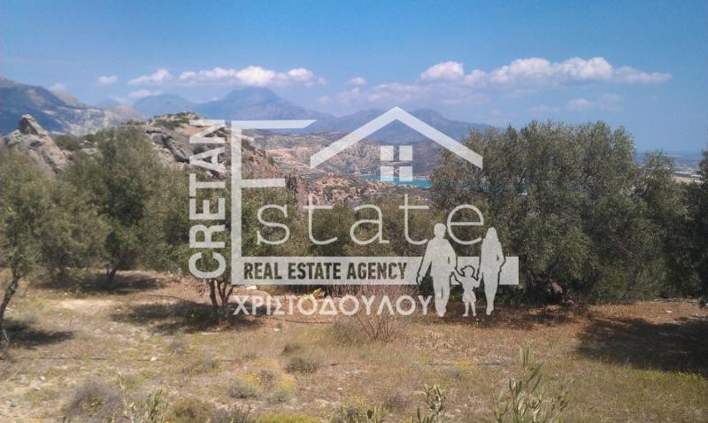 Αγροτεμάχια 8.000 τ.μ. πρός πώληση, Ν. Λασιθίου, Ιεράπετρα
