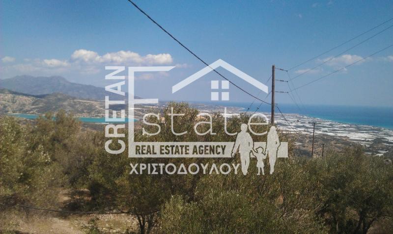 Αγροτεμάχια 8.000 τ.μ. πρός πώληση, Ν. Λασιθίου, Ιεράπετρα