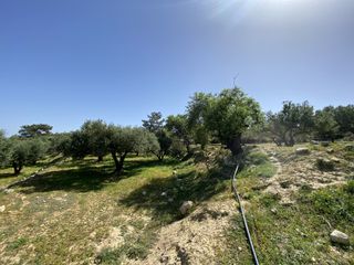 Αγροτεμάχια 12.000 τ.μ. για πώληση, Ν. Λασιθίου, Ιεράπετρα-thumb-6