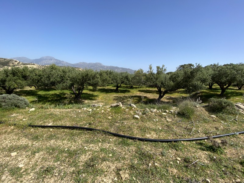 Αγροτεμάχια 12.000 τ.μ. πρός πώληση, Ν. Λασιθίου, Ιεράπετρα