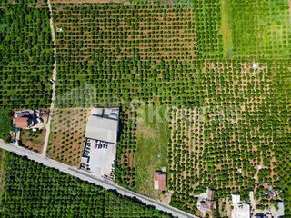 Αγροτεμάχια 6.700 τ.μ. για πώληση, Αργολίδα, Μιδέα-thumb-15