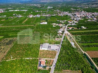 Αγροτεμάχια 6.700 τ.μ. για πώληση, Αργολίδα, Μιδέα-thumb-10