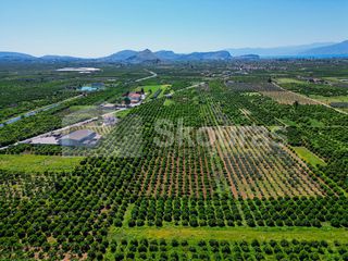 Αγροτεμάχια 6.700 τ.μ. για πώληση, Αργολίδα, Μιδέα-thumb-20