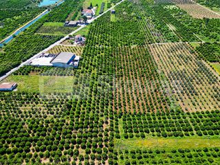 Αγροτεμάχια 6.700 τ.μ. για πώληση, Αργολίδα, Μιδέα-thumb-17