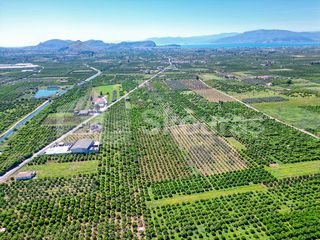 Αγροτεμάχια 6.700 τ.μ. για πώληση, Αργολίδα, Μιδέα-thumb-7