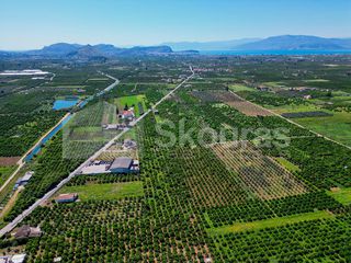 Αγροτεμάχια 6.700 τ.μ. για πώληση, Αργολίδα, Μιδέα-thumb-14