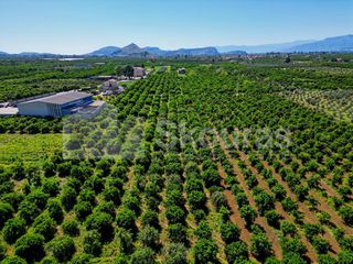 Αγροτεμάχια 6.700 τ.μ. για πώληση, Αργολίδα, Μιδέα-thumb-3