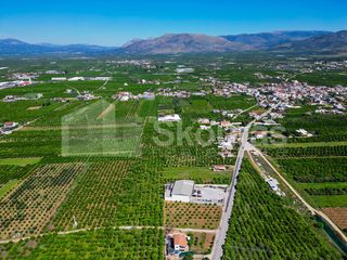 Αγροτεμάχια 6.700 τ.μ. για πώληση, Αργολίδα, Μιδέα-thumb-5