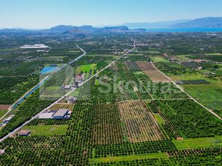Αγροτεμάχια 6.700 τ.μ. για πώληση, Αργολίδα, Μιδέα-thumb-9