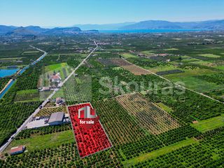Αγροτεμάχια 6.700 τ.μ. για πώληση