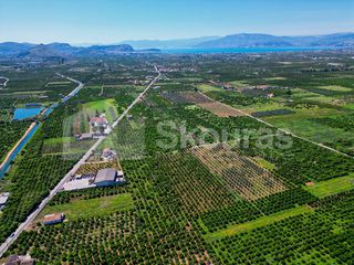 Αγροτεμάχια 6.700 τ.μ. για πώληση, Αργολίδα, Μιδέα-thumb-6