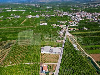 Αγροτεμάχια 6.700 τ.μ. για πώληση, Αργολίδα, Μιδέα-thumb-8