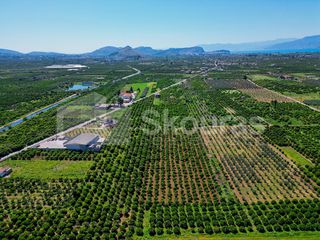 Αγροτεμάχια 6.700 τ.μ. για πώληση, Αργολίδα, Μιδέα-thumb-18
