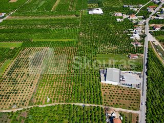 Αγροτεμάχια 6.700 τ.μ. για πώληση, Αργολίδα, Μιδέα-thumb-4