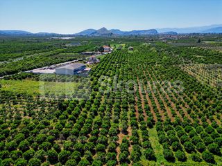 Αγροτεμάχια 6.700 τ.μ. για πώληση, Αργολίδα, Μιδέα-thumb-22