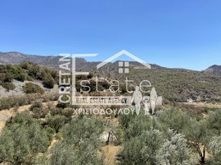 Αγροτεμάχια 4.647 τ.μ. για πώληση, Ν. Λασιθίου, Ιεράπετρα-thumb-11