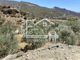 Αγροτεμάχια 4.647 τ.μ. για πώληση, Ν. Λασιθίου, Ιεράπετρα-thumb-14
