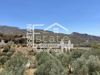 Αγροτεμάχια 4.647 τ.μ. για πώληση, Ν. Λασιθίου, Ιεράπετρα-thumb-12