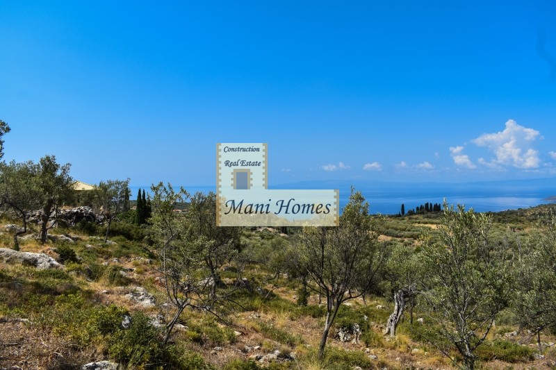 Οικόπεδο 4.870 τ.μ. προς πώληση, Προάστιο Λεύκτρου