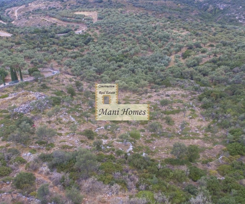 Οικόπεδο 4.870 τ.μ. προς πώληση, Προάστιο Λεύκτρου