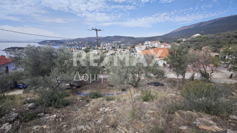 Οικόπεδο 1.001 τ.μ. πρός πώληση, Μαγνησία, Νέα Αγχίαλος
