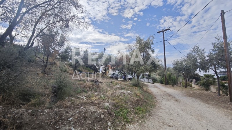 Οικόπεδο 1.001 τ.μ. πρός πώληση, Μαγνησία, Νέα Αγχίαλος
