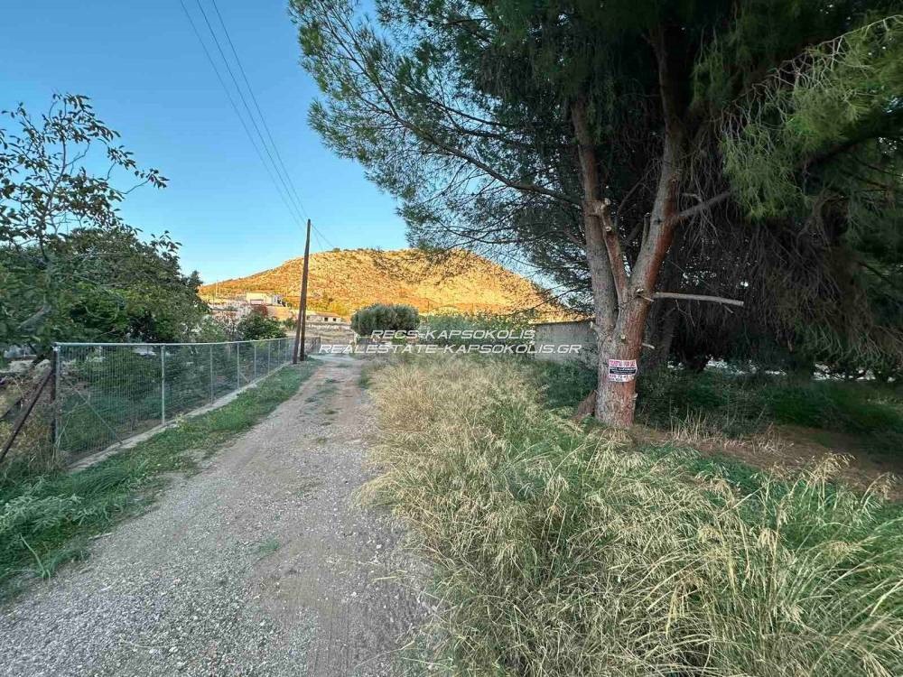 Οικόπεδο 186 τ.μ. προς πώληση, Παλούκια Σαλαμίνας