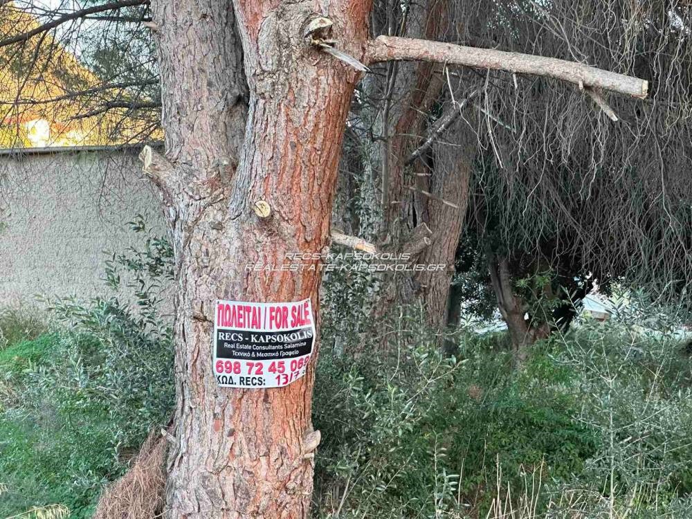 Οικόπεδο 186 τ.μ. προς πώληση, Παλούκια Σαλαμίνας