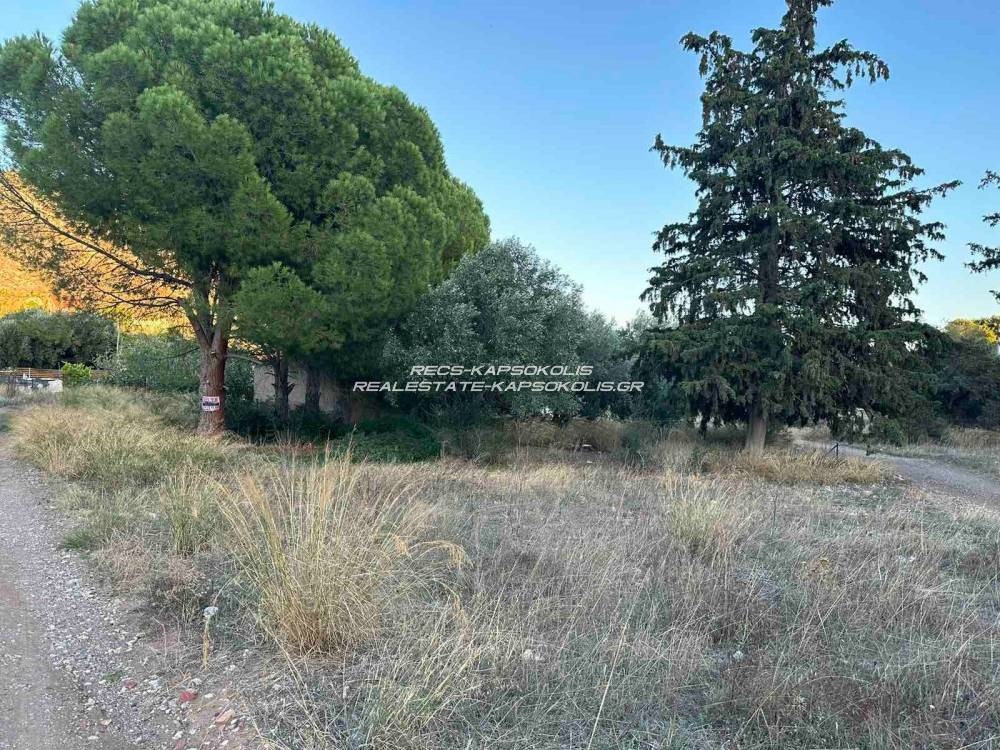 Οικόπεδο 186 τ.μ. προς πώληση, Παλούκια Σαλαμίνας