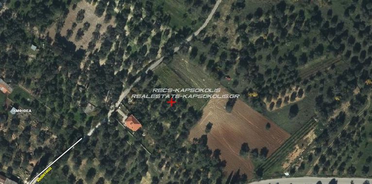 Αγροτεμάχια 1.493 τ.μ. για πώληση, Εύβοια, Δίρφυς