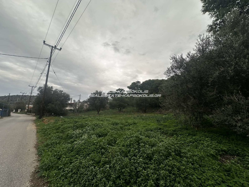 Οικόπεδο 248 τ.μ. προς πώληση, Άγιος Γεώργιος Σαλαμίνας
