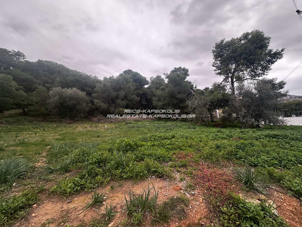 Οικόπεδο 248 τ.μ. προς πώληση, Άγιος Γεώργιος Σαλαμίνας