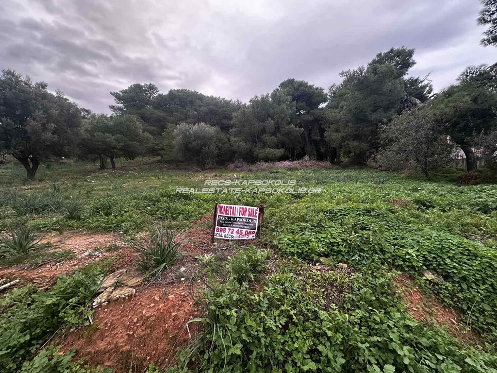 Οικόπεδο 248 τ.μ. προς πώληση, Άγιος Γεώργιος Σαλαμίνας