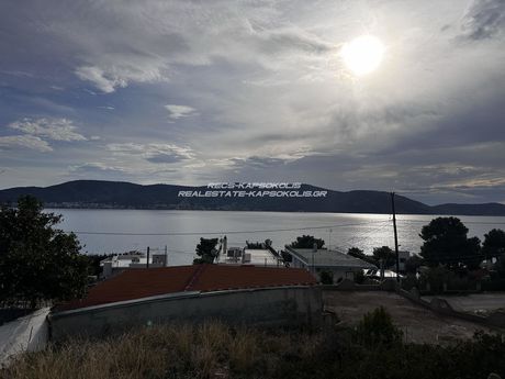 Land plot 335sqm for sale-Salamina