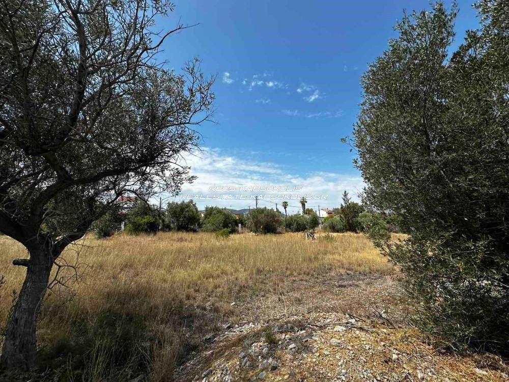 Οικόπεδο 4.750 τ.μ. προς πώληση, Αιάντειο