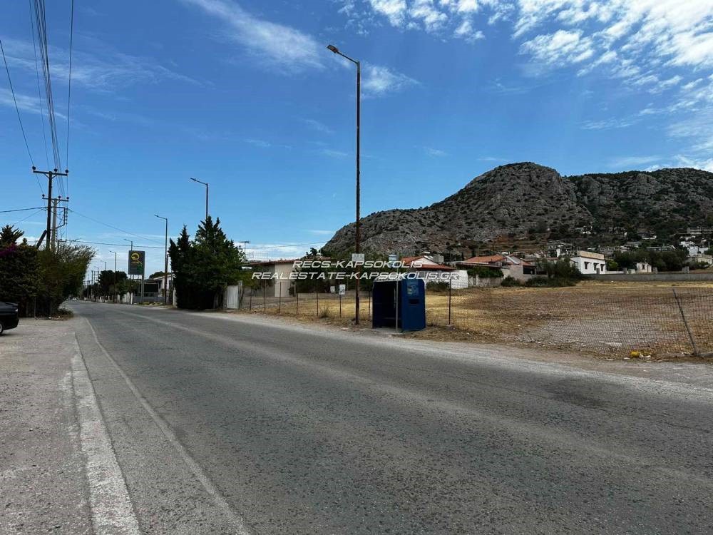 Οικόπεδο 4.750 τ.μ. προς πώληση, Αιάντειο