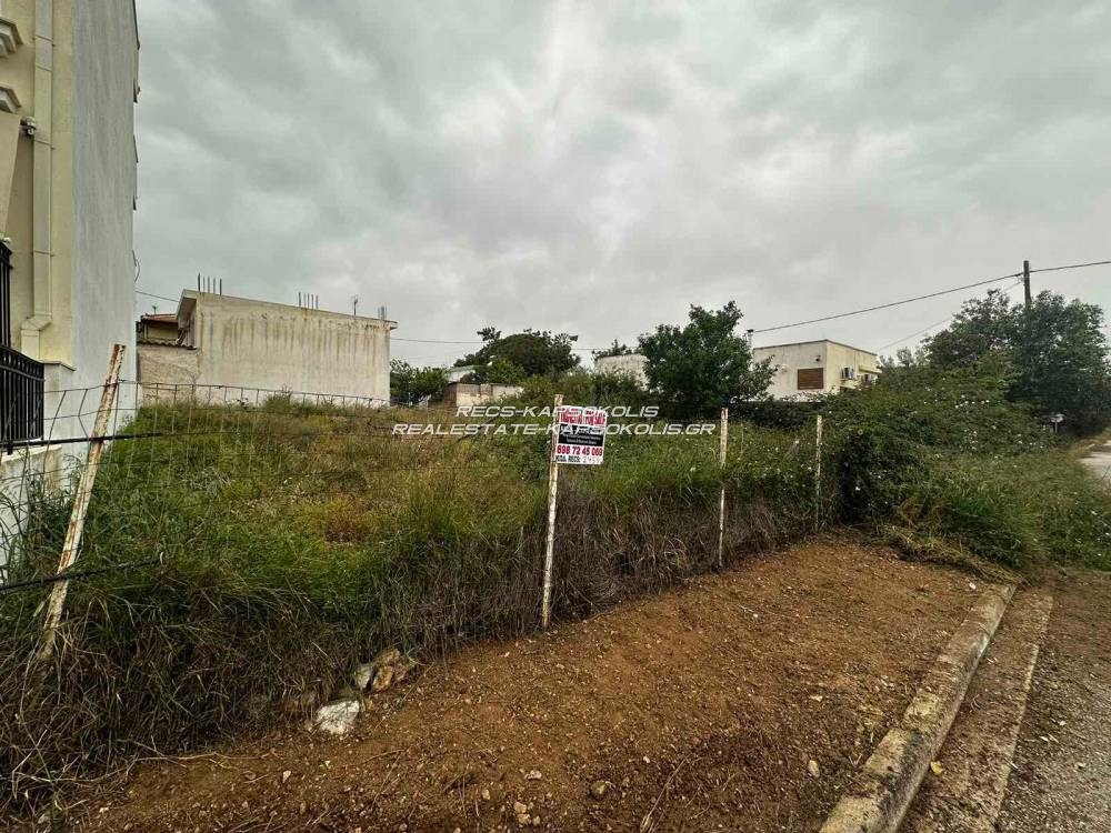 Οικόπεδο 330 τ.μ. προς πώληση, Αιάντειο